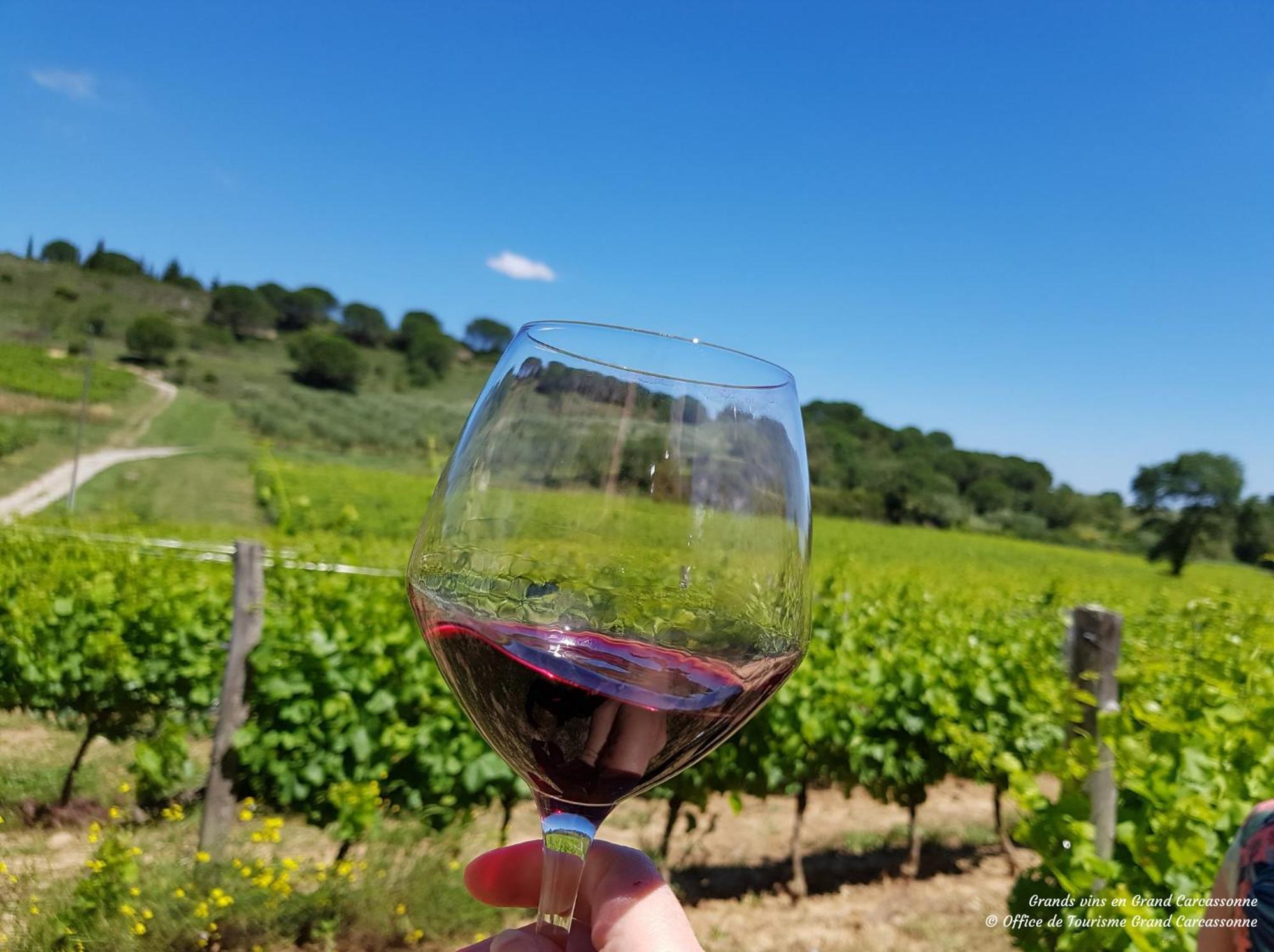 Chateau De Blomac Ngoại thất bức ảnh